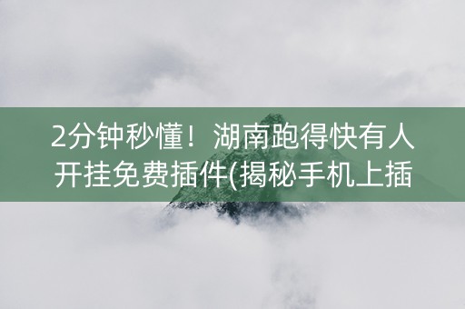 2分钟秒懂！湖南跑得快有人开挂免费插件(揭秘手机上插件免费)