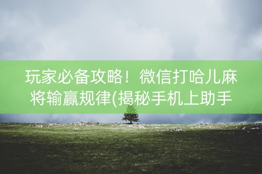 玩家必备攻略！微信打哈儿麻将输赢规律(揭秘手机上助手软件)