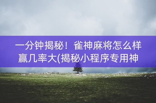 一分钟揭秘！雀神麻将怎么样赢几率大(揭秘小程序专用神器)