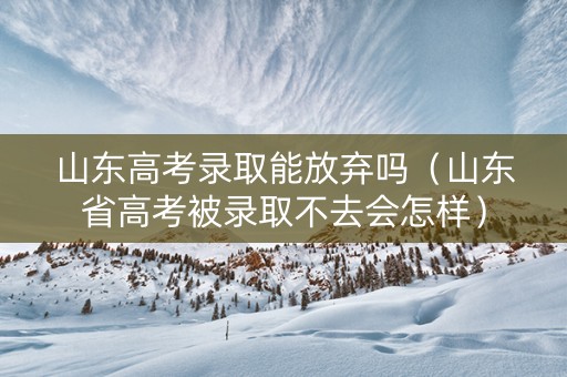 山东高考录取能放弃吗（山东省高考被录取不去会怎样）