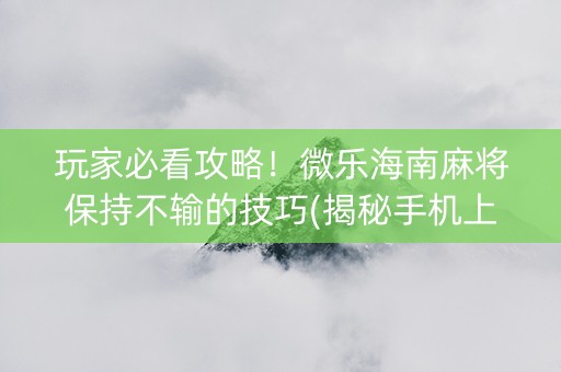 玩家必看攻略！微乐海南麻将保持不输的技巧(揭秘手机上插件下载)