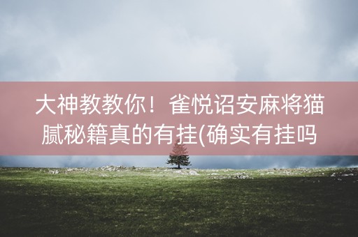 大神教教你！雀悦诏安麻将猫腻秘籍真的有挂(确实有挂吗)