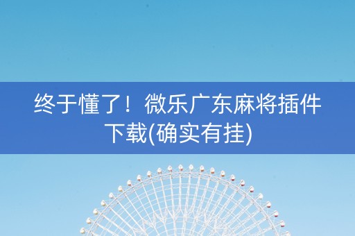 终于懂了！微乐广东麻将插件下载(确实有挂)