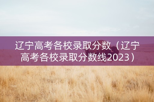 辽宁高考各校录取分数（辽宁高考各校录取分数线2023）