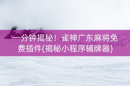 一分钟揭秘！雀神广东麻将免费插件(揭秘小程序辅牌器)