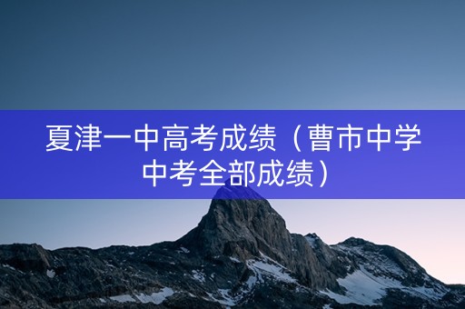 夏津一中高考成绩（曹市中学中考全部成绩）