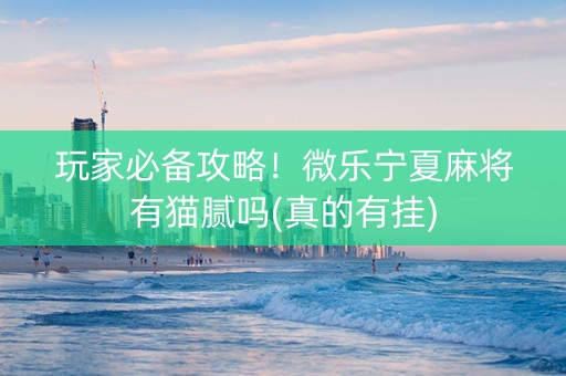 玩家必备攻略！微乐宁夏麻将有猫腻吗(真的有挂)