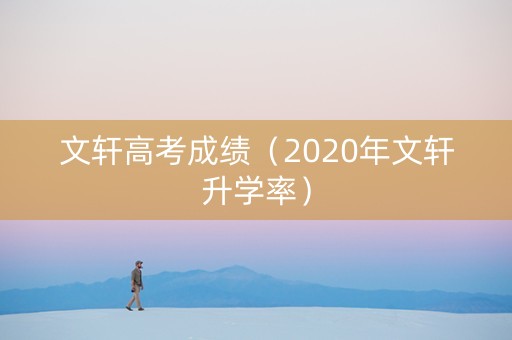文轩高考成绩（2020年文轩升学率）