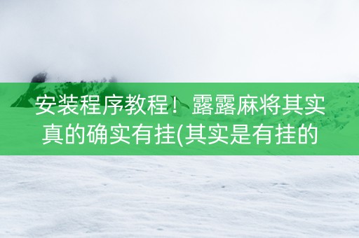 安装程序教程！露露麻将其实真的确实有挂(其实是有挂的)