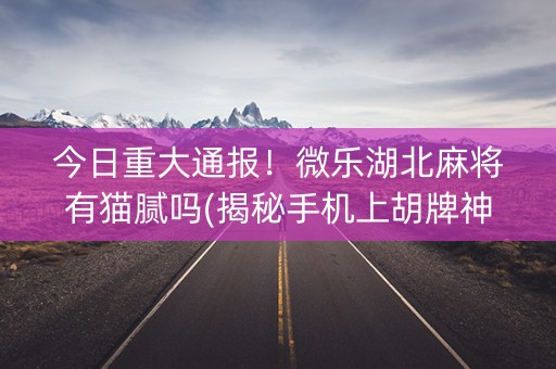 今日重大通报！微乐湖北麻将有猫腻吗(揭秘手机上胡牌神器)