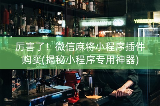 厉害了！微信麻将小程序插件购买(揭秘小程序专用神器)
