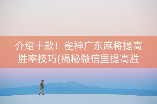 介绍十款！雀神广东麻将提高胜率技巧(揭秘微信里提高胜率)