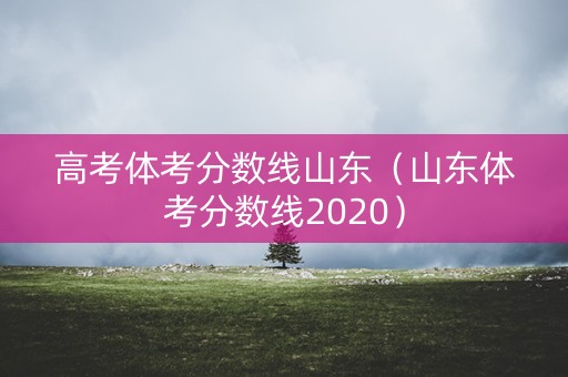 高考体考分数线山东（山东体考分数线2020）