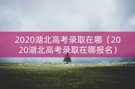2020湖北高考录取在哪（2020湖北高考录取在哪报名）