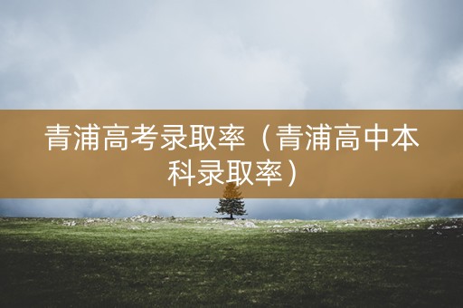 青浦高考录取率（青浦高中本科录取率）