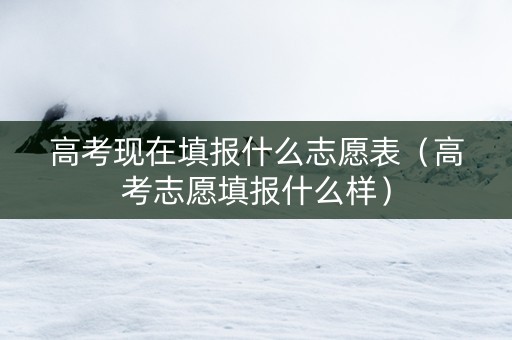 高考现在填报什么志愿表（高考志愿填报什么样）