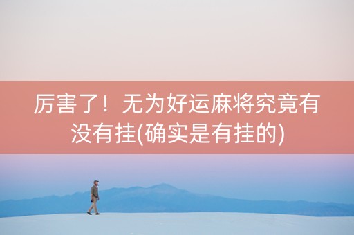 厉害了！无为好运麻将究竟有没有挂(确实是有挂的)
