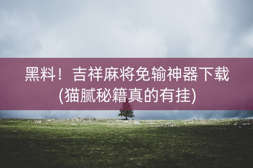 黑料！吉祥麻将免输神器下载(猫腻秘籍真的有挂)
