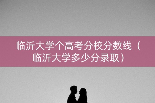 临沂大学个高考分校分数线（临沂大学多少分录取）