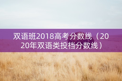 双语班2018高考分数线（2020年双语类投档分数线）