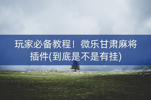 玩家必备教程！微乐甘肃麻将插件(到底是不是有挂)