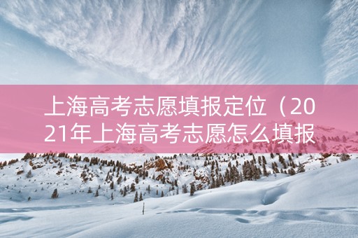 上海高考志愿填报定位（2021年上海高考志愿怎么填报）