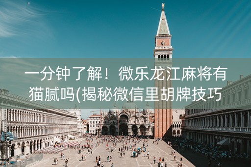 一分钟了解！微乐龙江麻将有猫腻吗(揭秘微信里胡牌技巧)