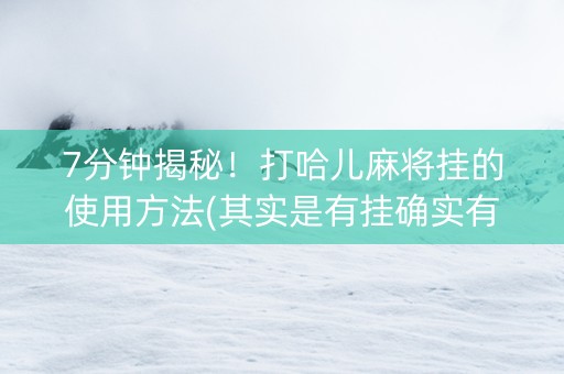 7分钟揭秘！打哈儿麻将挂的使用方法(其实是有挂确实有挂)