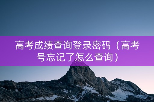 高考成绩查询登录密码（高考号忘记了怎么查询）