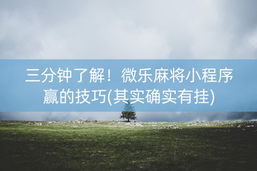 三分钟了解！微乐麻将小程序赢的技巧(其实确实有挂)
