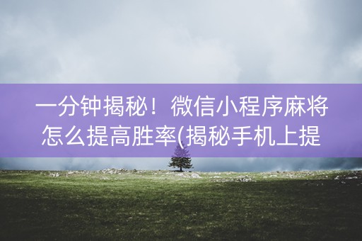 一分钟揭秘！微信小程序麻将怎么提高胜率(揭秘手机上提高胜率)