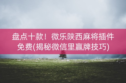 盘点十款！微乐陕西麻将插件免费(揭秘微信里赢牌技巧)