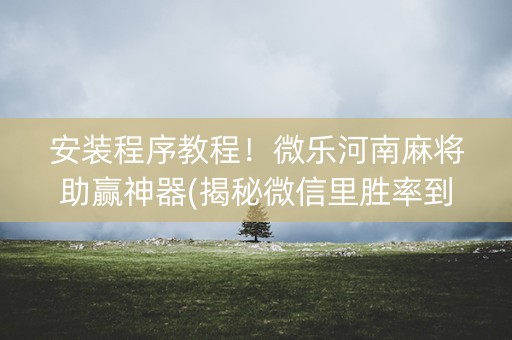 安装程序教程！微乐河南麻将助赢神器(揭秘微信里胜率到哪调)