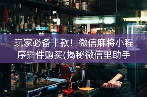 玩家必备十款！微信麻将小程序插件购买(揭秘微信里助手软件)