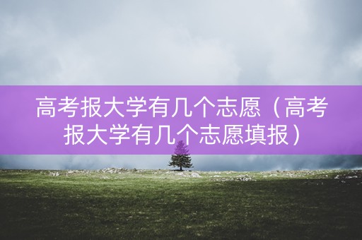 高考报大学有几个志愿（高考报大学有几个志愿填报）