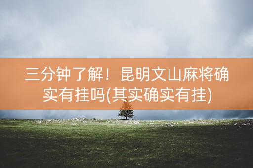 三分钟了解！昆明文山麻将确实有挂吗(其实确实有挂)