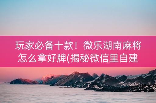 玩家必备十款！微乐湖南麻将怎么拿好牌(揭秘微信里自建房怎么赢)