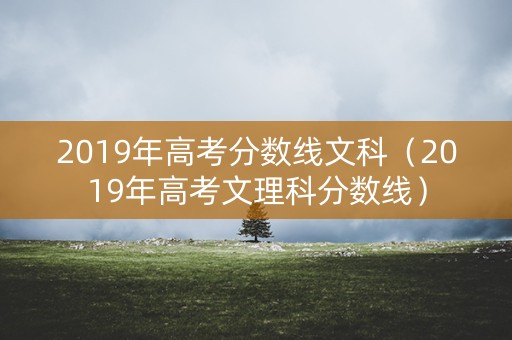 2019年高考分数线文科（2019年高考文理科分数线）