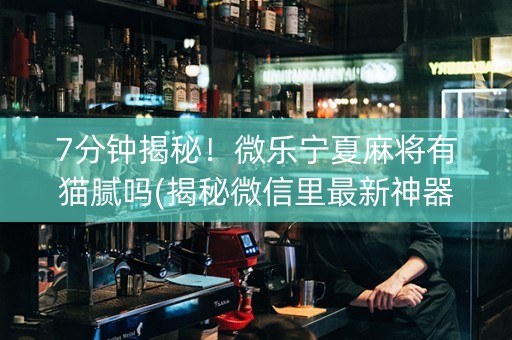 7分钟揭秘！微乐宁夏麻将有猫腻吗(揭秘微信里最新神器下载)