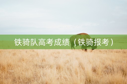 铁骑队高考成绩（铁骑报考）