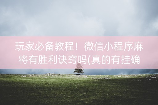 玩家必备教程！微信小程序麻将有胜利诀窍吗(真的有挂确实有挂)