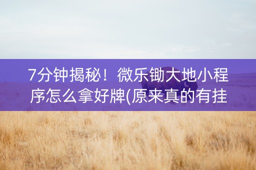 7分钟揭秘！微乐锄大地小程序怎么拿好牌(原来真的有挂)