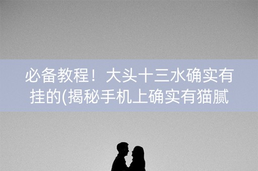 必备教程！大头十三水确实有挂的(揭秘手机上确实有猫腻)