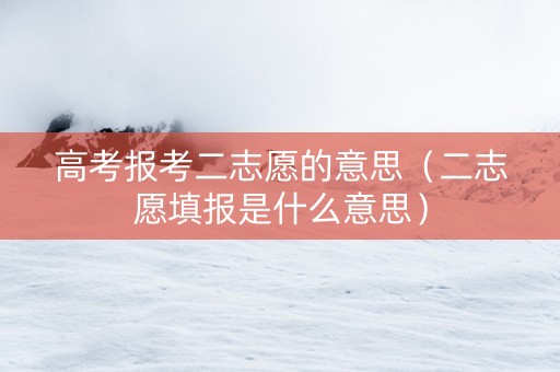 高考报考二志愿的意思（二志愿填报是什么意思）