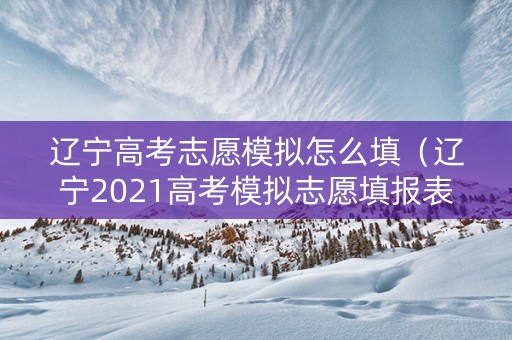 辽宁高考志愿模拟怎么填（辽宁2021高考模拟志愿填报表）