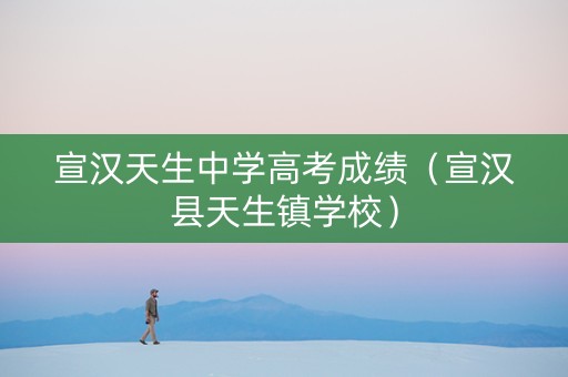 宣汉天生中学高考成绩（宣汉县天生镇学校）