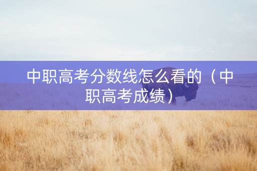 中职高考分数线怎么看的（中职高考成绩）