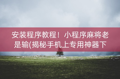 安装程序教程！小程序麻将老是输(揭秘手机上专用神器下载)
