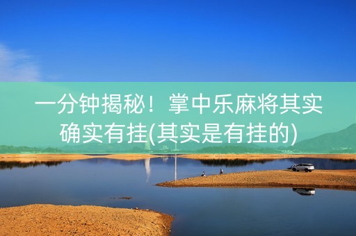 一分钟揭秘！掌中乐麻将其实确实有挂(其实是有挂的)