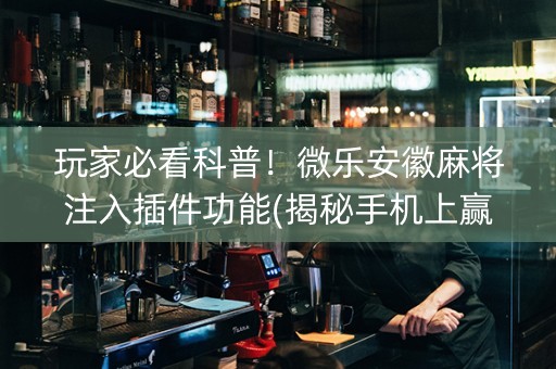 玩家必看科普！微乐安徽麻将注入插件功能(揭秘手机上赢的诀窍)